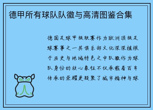 德甲所有球队队徽与高清图鉴合集